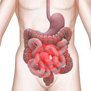 Best Herbs For Ibs - IBS And Colon Cleansing